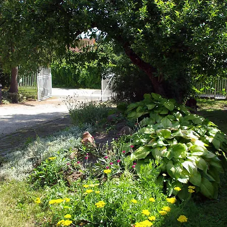 Vakantiepark Esthajnal